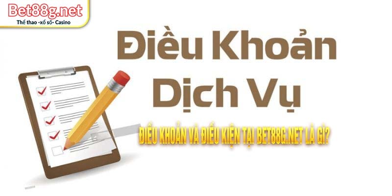 điều khoản và điều kiện