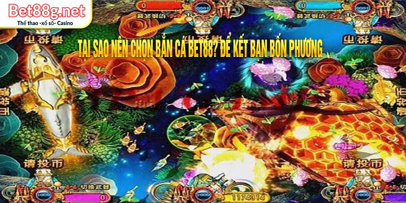 Tại sao nên chọn bắn cá BET88