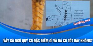 vảy gà ngũ quý có đặc điểm gì