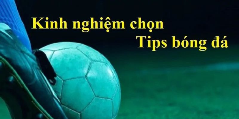 tips bóng đá lừa đảo