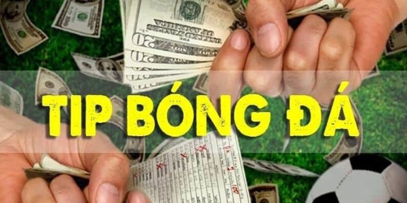 tips bóng đá nội gián